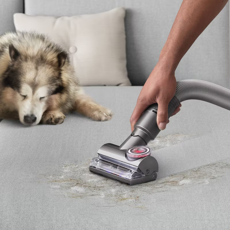 Dyson Ball Animal 3 Total Clean Upright Vacuum 11" Cleaning Path: Multi-Surface, Bagless, Cyclonic Action, 3 Speeds, 35' Cord